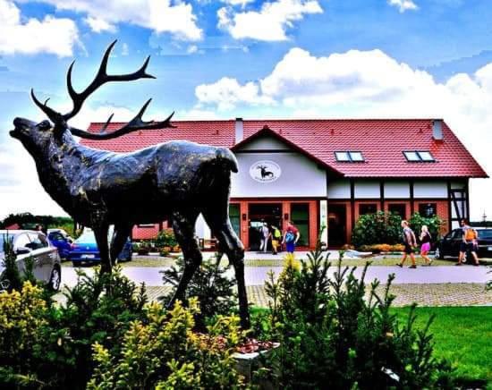 Pensjonat I Restauracja Hubertowka Milicz Buitenkant foto